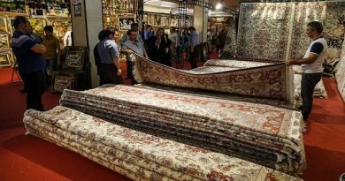 رییس مرکز ملی فرش خبر داد: آغاز پرداخت وام ۱۰ میلیون تومانی برای خرید فرش دستباف رییس مرکز ملی فرش خبر داد: آغاز پرداخت وام ۱۰ میلیون تومانی برای خرید فرش دستباف