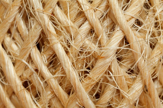 مختصری راجع به الیاف سیسال (Sisal)