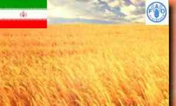 فائو اعلام کرد: کسری ۴ برابری تراز تجاری کشاورزی کشورهای در حال توسعه