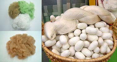 الیاف ویسکوز ریون ،پنبه و ابریشم