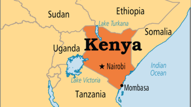 تصویر از امکان صادرات فرش ماشینی به کنیا