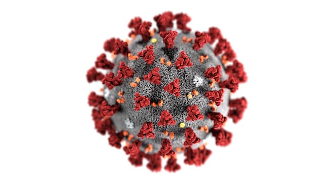 coronavirus covid19