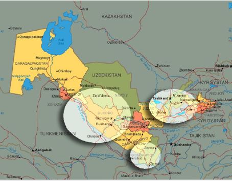 از پنبه ازبکستان چه میدانید؟
