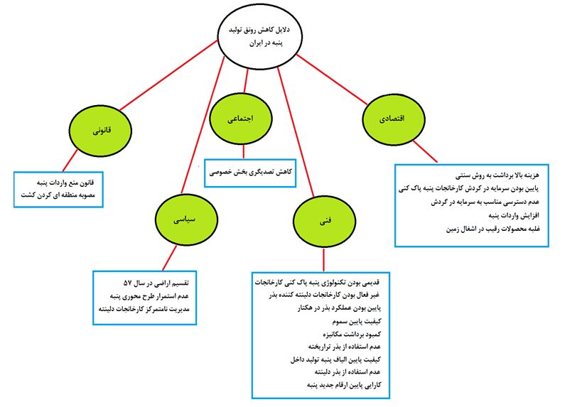 دلایل کاهش رونق تولید پنبه در ایران