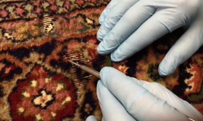 بیدزدگی انواع فرش